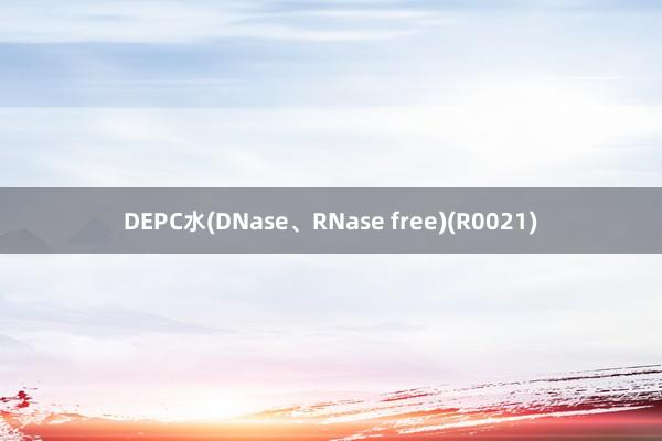 DEPC水(DNase、RNase free)(R0021)