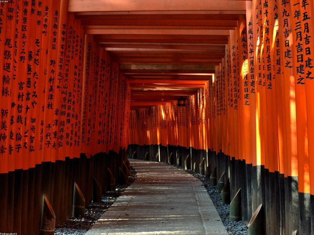 សារៈសំខាន់នៃប្រភពព័ត៌មានដែលមានសុពលភាព